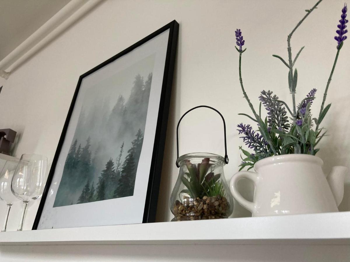 Apartament Miodowa 9 Zwierzyniec Exteriör bild