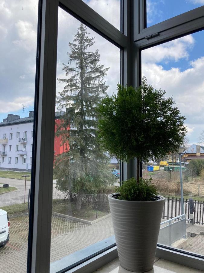 Apartament Miodowa 9 Zwierzyniec Exteriör bild